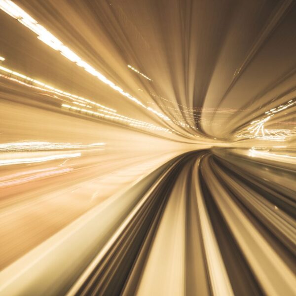 Longevity Escape Velocity